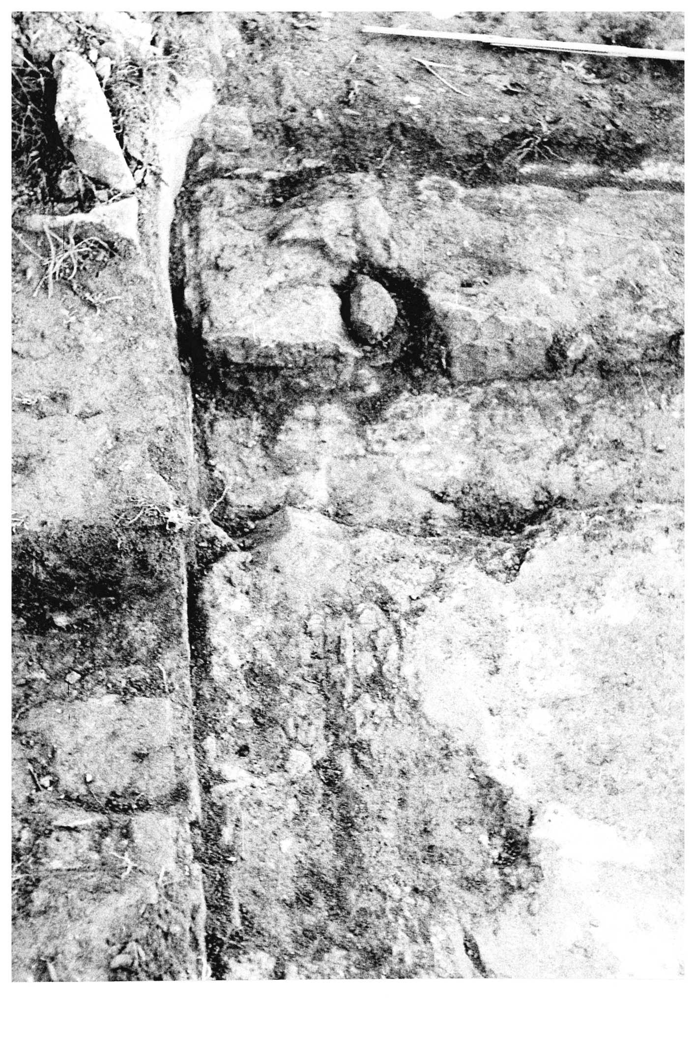 [Detall de l'excavació de la zona del baptisteri de Vil·la Fortunatus]