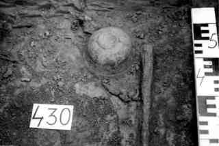 [Tomba núm. 430 de la Necròpoli de Saldaña]