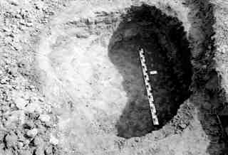 [Tomba núm. 445 de la Necròpoli de Saldaña]