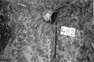[Objectes de l'aixovar funerari de la tomba núm. 482 de la Necròpoli de Saldaña]