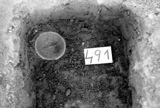 [Tomba núm. 491 de la Necròpoli de Saldaña]