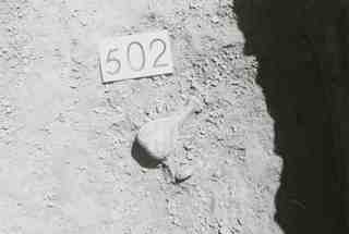 [Tomba núm. 502 de la Necròpoli de Saldaña]
