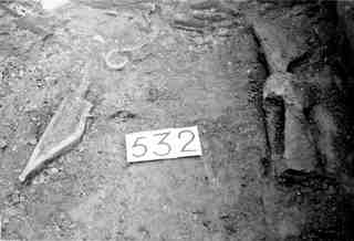 [Tomba núm. 532 de la Necròpoli de Saldaña]