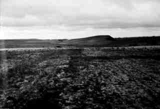 [Paisatge]