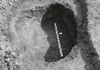 [Tomba núm. 445 de la Necròpoli de Saldaña]