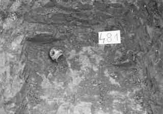 [Objectes de la tomba núm. 481 de la Necròpoli de Saldaña]