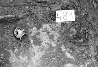 [Objectes de la tomba núm. 481 de la Necròpoli de Saldaña]
