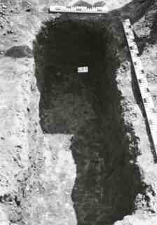 [Tomba núm. 481 de la Necròpoli de Saldaña]