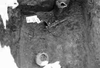 [Tomba núm. 487 de la Necròpoli de Saldaña]