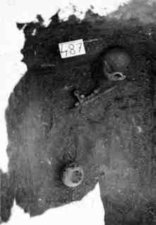 [Tomba núm. 487 de la Necròpoli de Saldaña]