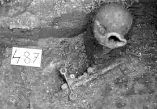 [Tomba núm. 487 de la Necròpoli de Saldaña]