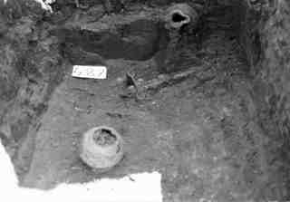 [Tomba núm. 487 de la Necròpoli de Saldaña]