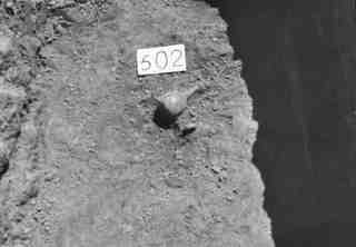 [Tomba núm. 502 de la Necròpoli de Saldaña]
