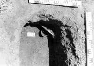 [Tomba núm. 535 de la Necròpoli de Saldaña]