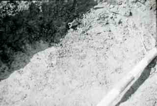 [Tomba núm. 73 de la Necròpoli de Saldaña]