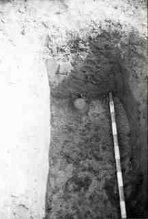 [Tomba núm. 318 de la Necròpoli de Saldaña]