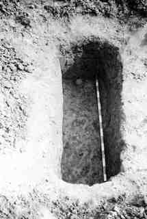 [Tomba núm. 318 de la Necròpoli de Saldaña]