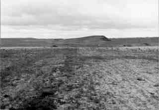 [Panoràmica del terreny circundant de la necròpoli de Saldaña]