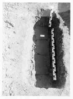 [Detall de l'excavació de la sepultura 335 de la necròpoli de Saldaña, Palència]