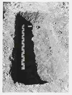 [Detall de l'excavació de la sepultura 342 de la necròpoli de Saldaña, Palència]