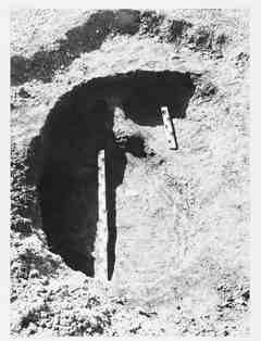 [Detall de l'excavació de la sepultura 347 de la necròpoli de Saldaña, Palència]