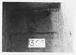 [Detall de l'excavació de la sepultura 355 de la necròpoli de Saldaña, Palència]