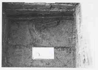 [Detall de l'excavació de la sepultura 355 de la necròpoli de Saldaña, Palència]