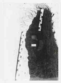 [Detall de l'excavació de la sepultura 386 de la necròpoli de Saldaña, Palència]