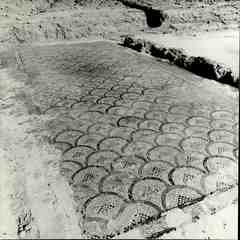 [Vista general del paviment de mosaic en forma d'escates, Quintanilla de la Cueza, Palència]