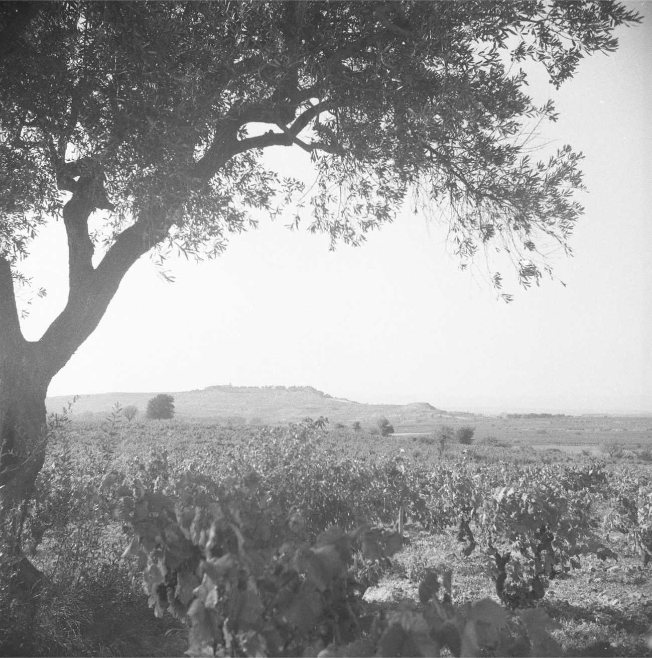 2n Curs d'Empúries-França