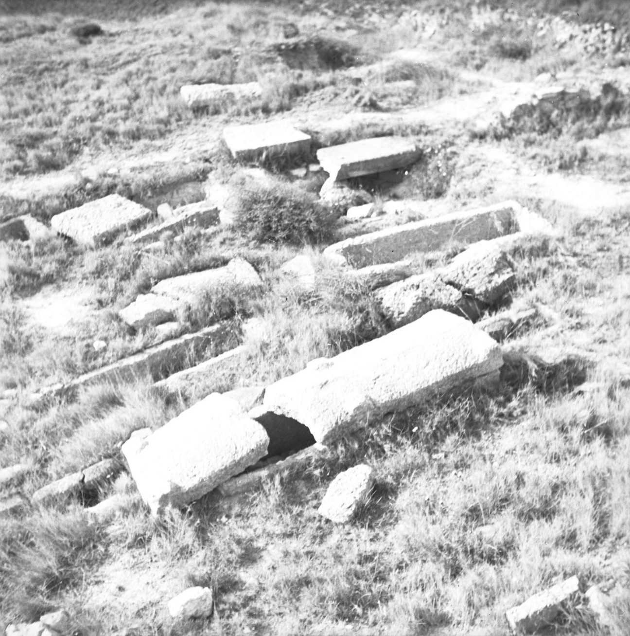 2n Curs d'Empúries-França