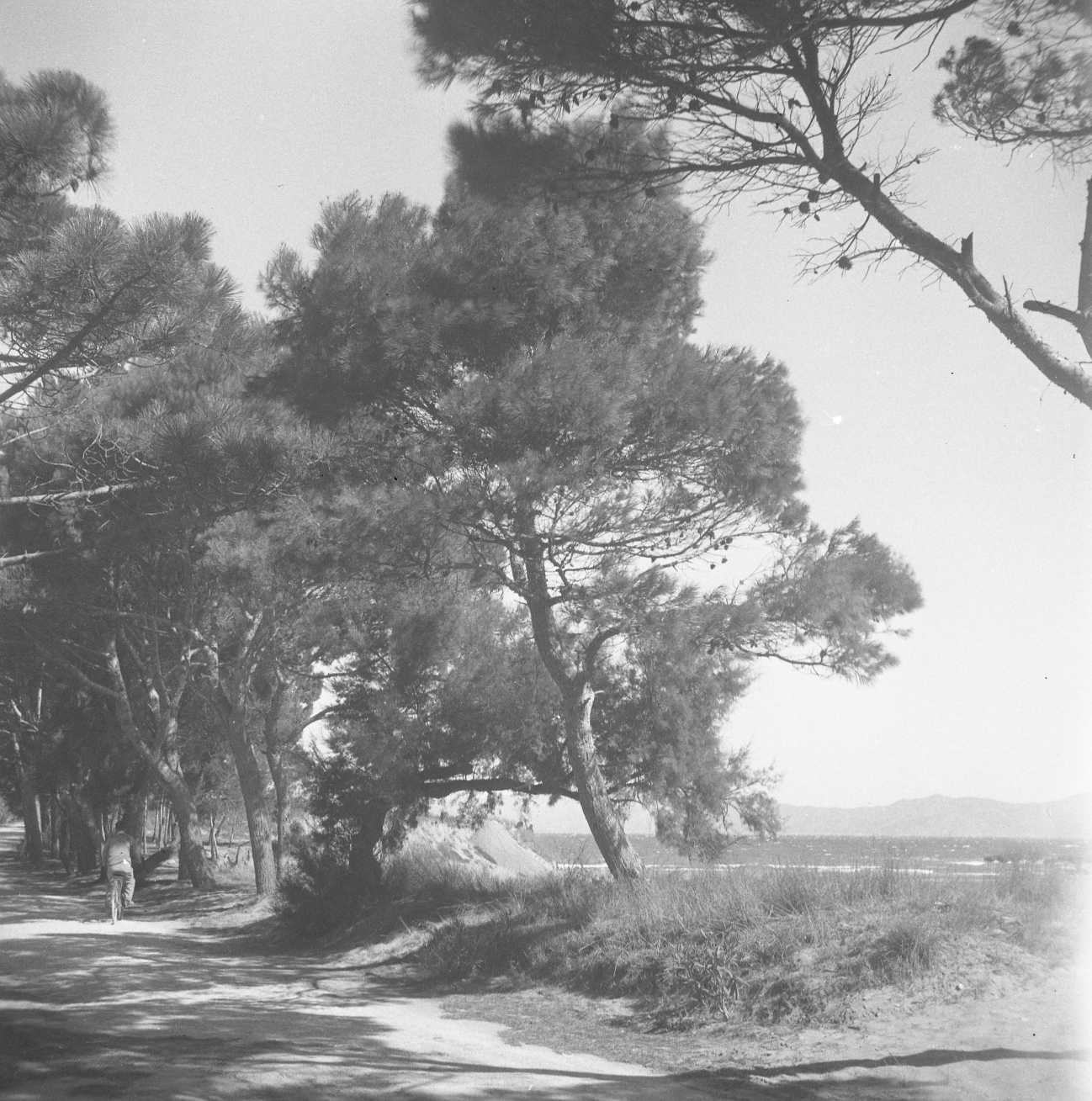 2n Curs d'Empúries-França