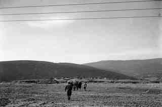 Velilla del Río, dues tombes del sector SE de la necròpoli
